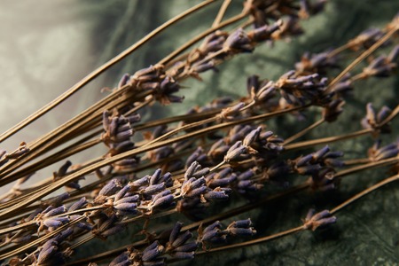 Dry violet color flowers on green marble background, close-upの写真素材
