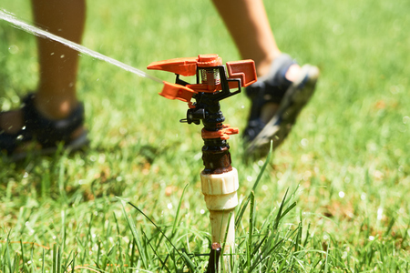 Closeup of child legs walking in garden green grass with water sprinkler head, summer conceptの写真素材