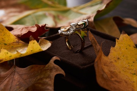 Elegant engagement diamond ring as  love and wedding concept, close-up. Jewelry gold diamond ring on autumn foliage background with copy spaceの写真素材