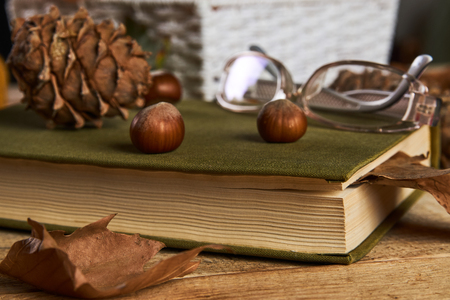 Autumn season and education concept with book reading glasses, fruits basket, fir cone and nuts on old rustic wooden table background with copy space, close-up, top viewの写真素材