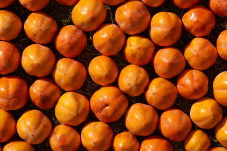 Fresh juicy persimmons fruitの写真素材