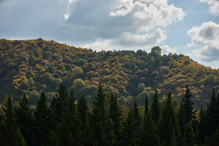 Mountain forest landscape with clouds, blue sky and green trees.