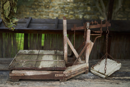 Ancient wood scales on wooden table, close-up, outdoors.の写真素材