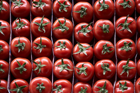 Fresh raw tomatoes background, top view. Stacked tomatoes in row in wooden box, close-up. Healthy food, tomato vegetable. Agriculture, harvest conceptの写真素材