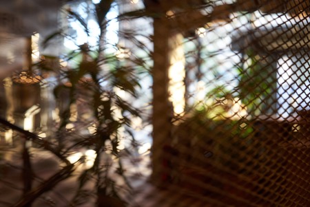 Abstract blurred cafe bar restaurant interior background through the wire mesh fence, close-up.の写真素材