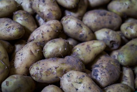 Fresh raw potatoes vegetable background, close-up, top viewの写真素材