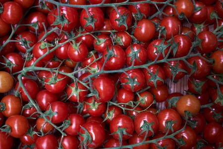 Fresh red tomatoes background, close-up. farming and agriculture
