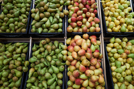 Pear fruit background, close-up. Colorful pear pile in market, top view. Healthy diet food. Agriculture conceptの写真素材