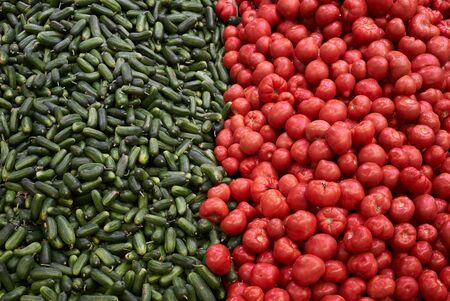 Green cucumbers and red tomatoes, close-up. Vegetable food background, close-up. Agriculture and farming conceptの写真素材