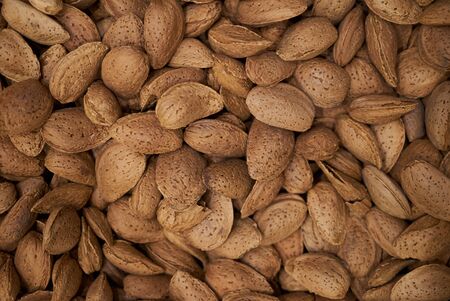 Dried almond in shell texture background. Unpeeled almond nuts , close-up