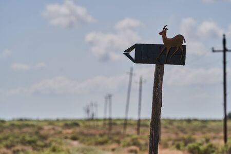 Gazelles signboard in savanna nature park with blue sky and clouds on background. Nature parkの写真素材