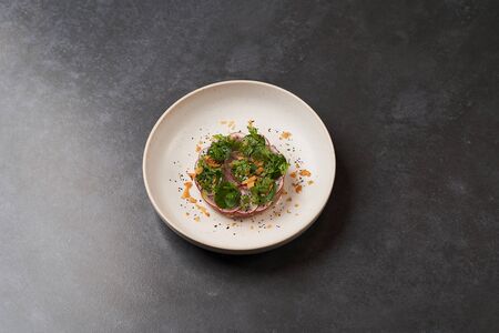 Fresh beef tartare dish with fresh vegetables in white plate on dark background with copy space. Beefsteak tartare with crispy taco chips, radish greens. Chef's signature dish, gastro cafe menu foodの写真素材