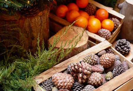 Oranges, tangerines and Christmas tree cones as New Year tree decoration, close-upの写真素材