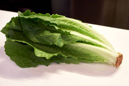 Fresh green Romaine Lettuce (Lactuca sativa). Fresh Romano salad on a kitchen table , close-upの写真素材