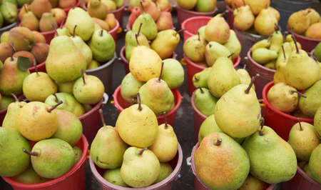 Freshly harvested pear. Ripe yellow pears in bucket, top view