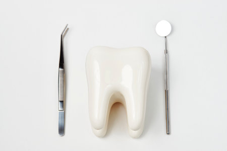 Dental tooth model with dentistry equipment tools for teeth dental care isolated on white background with copy space, close-up. Oral dental hygiene conceptの写真素材