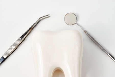 Dental tooth model with dentistry equipment tools for teeth dental care isolated on white background...