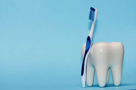 Tooth and toothbrush on blue background with copy space. Dental health and oral hygiene conceptの写真素材