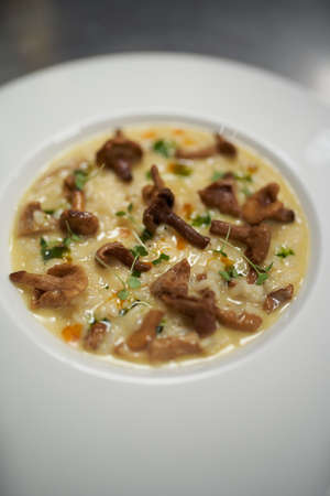 Mushroom cream soup on a white bowl, close-up. Healthy mushroom soupの写真素材