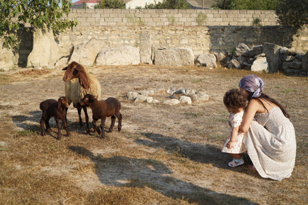 Happy mother and daughter playing with sheep outdoor. Young woman with baby girl and little lambの写真素材