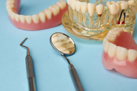 Artificial teeth on a white background with copy space. Dentist appointment, dentistry instruments and dental hygienist checkup concept with teeth model dentures and mouth mirrorの写真素材