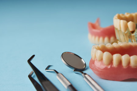 Artificial teeth on a white background with copy space. Dentist appointment, dentistry instruments...