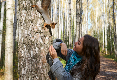 Girl feeding squirrel in autumn park. Red Squirrel eats nuts from woman handの写真素材