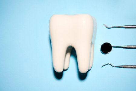 Dental tooth model and dentistry tool on blue background with copy space, close-up. Oral dental hygiene conceptの写真素材