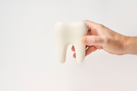 Dentist hand holding tooth model on white background with copy space. Healthy teeth concept.の写真素材