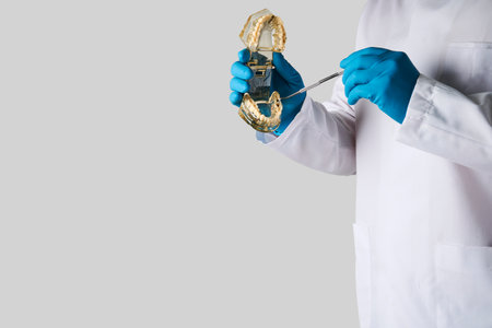 Young man dentist holding tooth model on white background with copy space. Doctor with white tooth,...