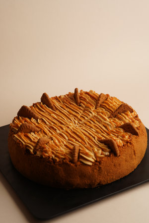 Chocolate and coconut cake. Cake with cottage cheese, chocolate cream and coconut
