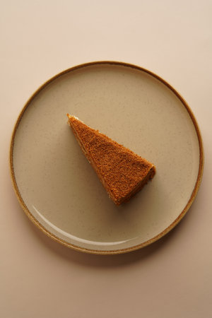 Honey cake dessert piece. Layered cake with custard creamの写真素材