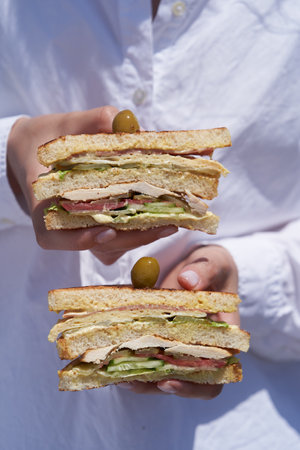 Hands holding Sandwich. Double Toasted sandwich with chicken breastの写真素材