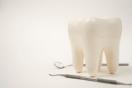 White healthy tooth, and dental tools for dentistry care. Dental background with copy spaceの写真素材