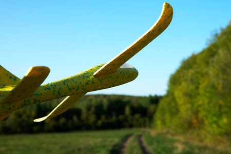 Plane toy flying on field, close-up. Yellow plastic plane flies between forest trees road