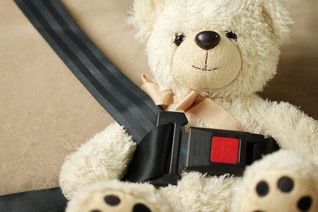 White teddy bear with car seat belt, close-up. Teddy bear fastened with safety beltの写真素材