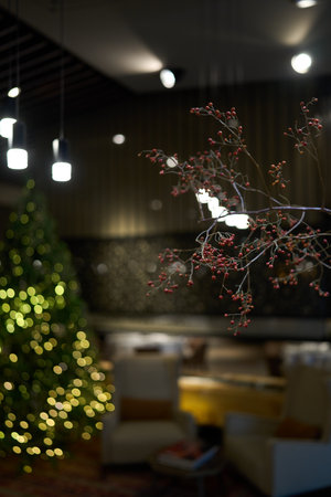 Blurred room interior with Christmas tree and Mistletoe bunch. Christmas decorationsの写真素材