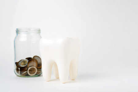 White tooth model with coins money on a white background with copy space. Dental Insurance conceptの写真素材