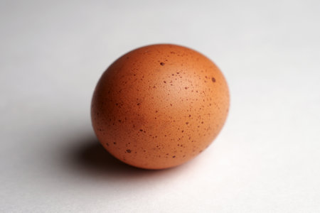 Brown egg on a white background with copy space, close-up. Chicken egg