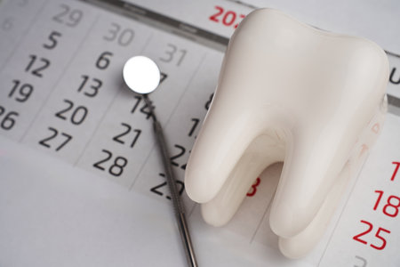 Dentist appointment calendar page and dentures model with mirror dental, close-up. Dentist doctor...