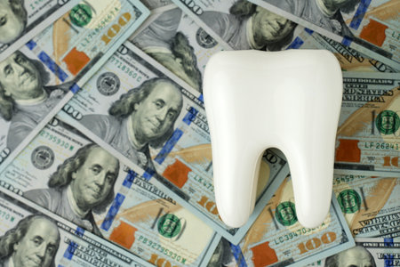 Concept expensive dentistry or dental insurance. Tooth model and money bills background, close-up