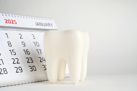 Dentist appointment calendar on a white background with copy space. Reminder calendar for visiting dental clinic. Dentistry check up dateの写真素材