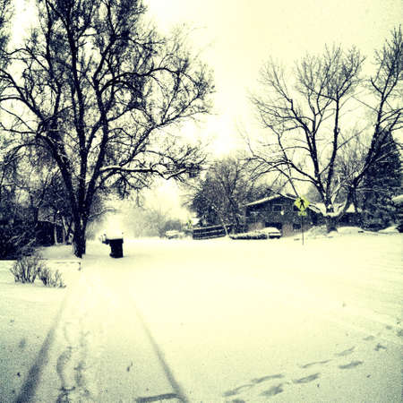 Wintertime. の素材