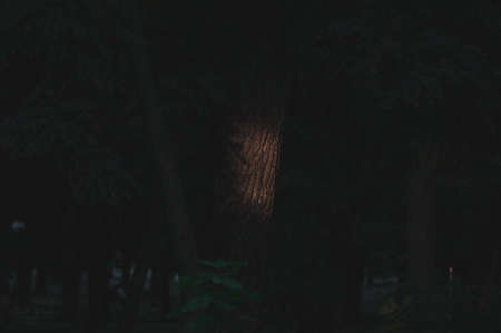 light in the darkの写真素材