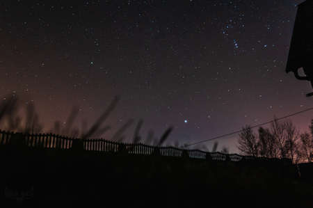 night in the forestの写真素材