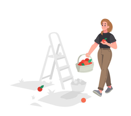 A girl with a basket is harvesting fruits at the cottage. Summer outdoor recreation. Sale and delivery of oranges. Illustration for design projects, website and printing, mockup and banner design.のイラスト素材