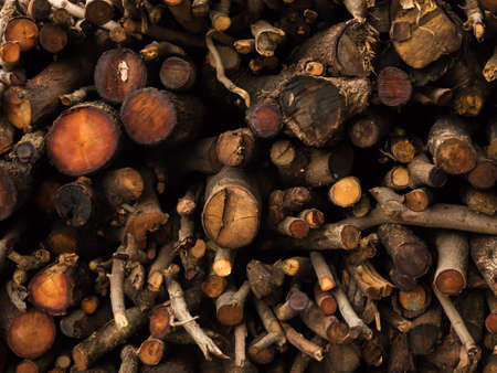 Stacked  wood timber random sizeの写真素材
