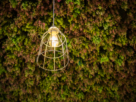 modern wire-frame hanging lamp