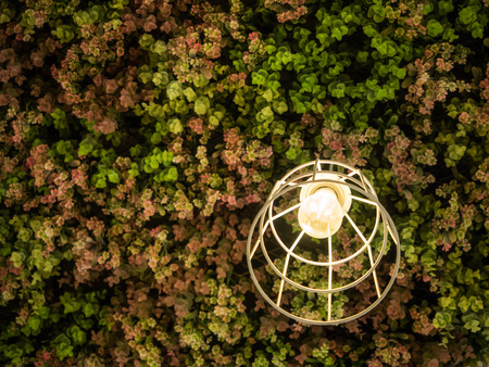 modern wire-frame hanging lampの写真素材