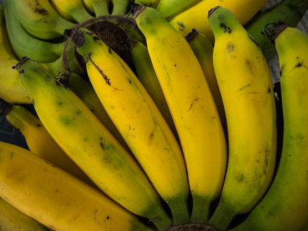 Closeup of a bundle of banana in natural lightの写真素材